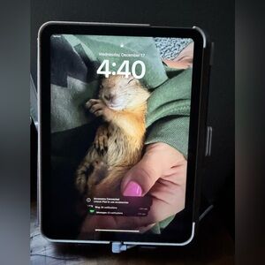 Apple iPad 10th Gen EUC 256 gb WiFi + cellular